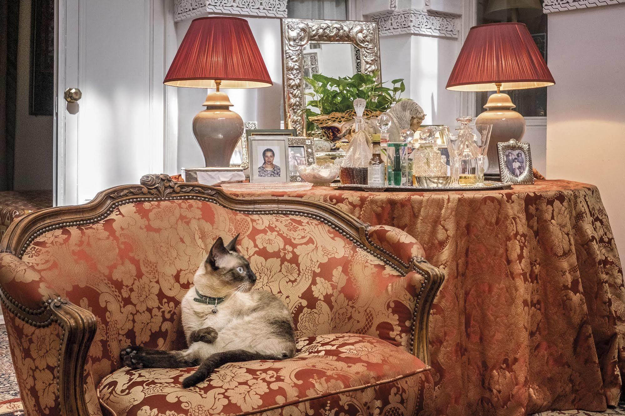 Riad Zeitoun Palace (Adults Only) Μαρακές Εξωτερικό φωτογραφία